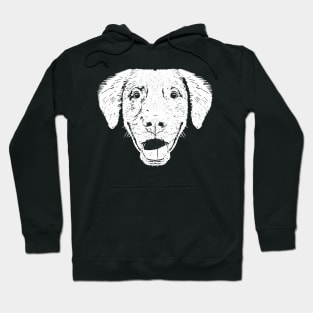 Duck Toller Pup Hoodie